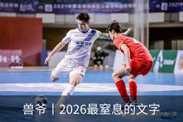 兽爷丨2026最窒息的文字