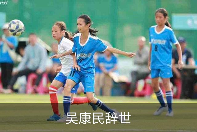 吴康民辞世