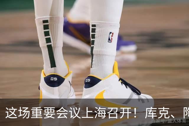 这场重要会议上海召开！库克、陶玲、赖秀福等多位大咖，最新发声